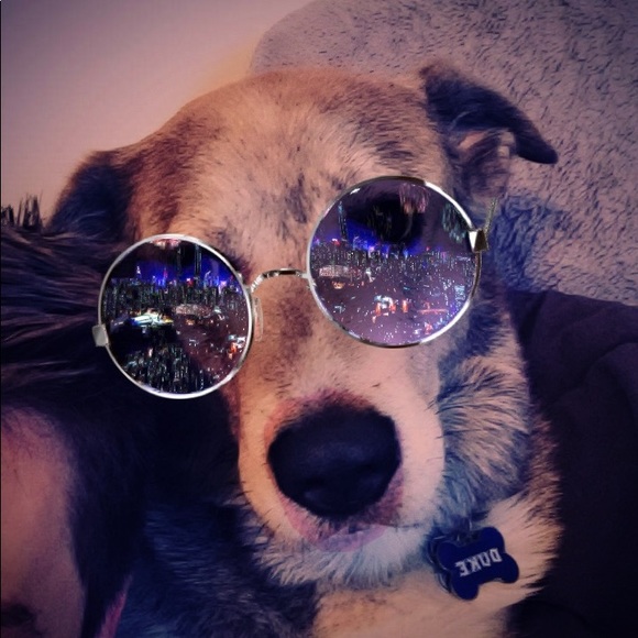 Meet your Posher, Brett - Picture 1 of 1